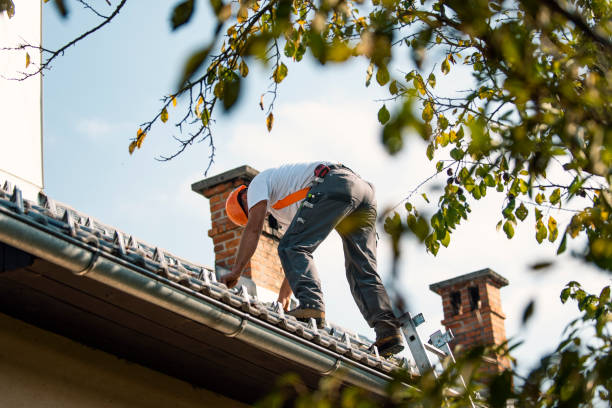 Best Flat Roof Repair Services  in Augusta, KS